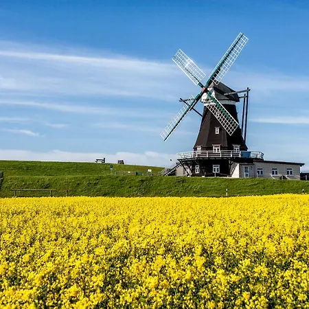 Gud Jard Nr 32 - Design-ferienhaus Mit Exklusiver Ausstattung Tatil Evi