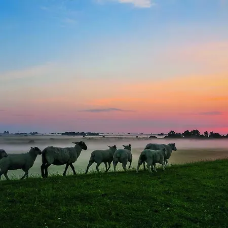 Gud Jard Nr 32 - Design-ferienhaus Mit Exklusiver Ausstattung *